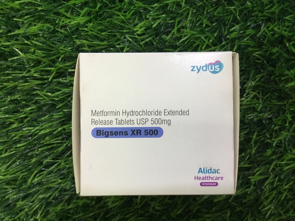 Bigsen S-XR 500 (Strip)