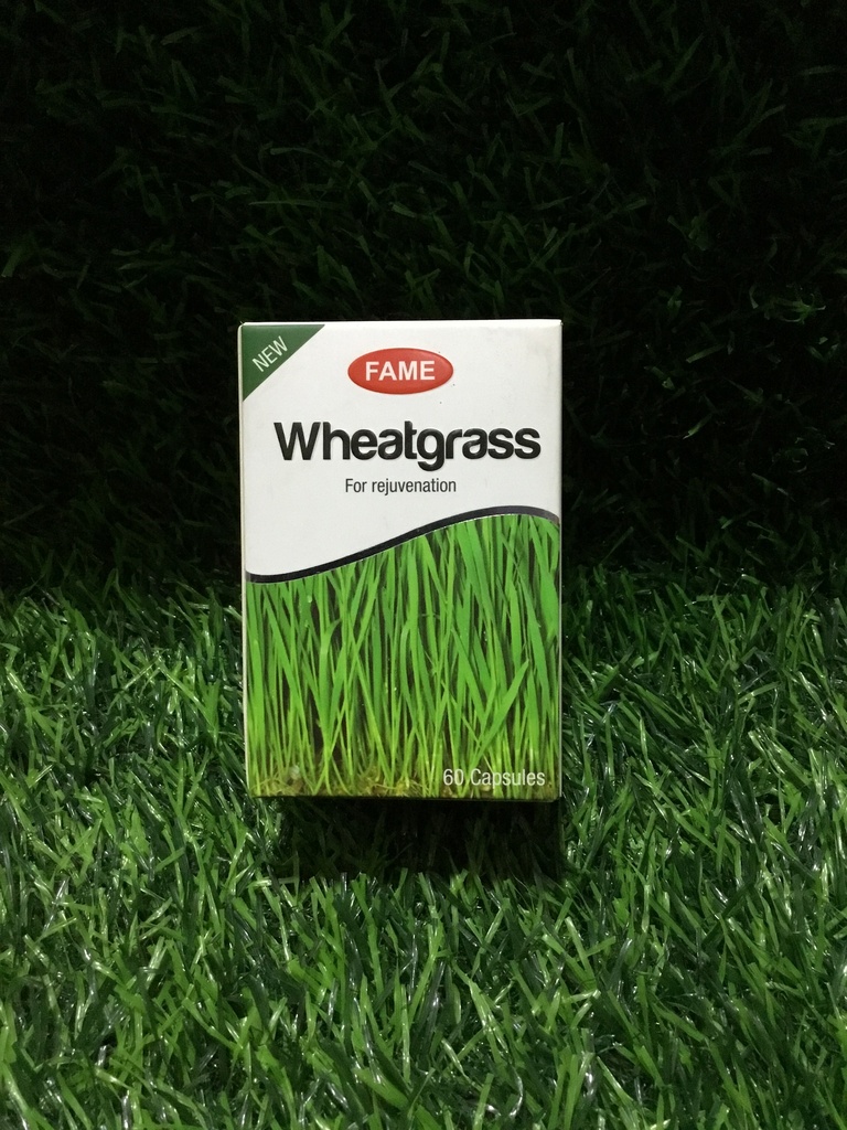 Fame-Wheatgrass 60