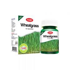 Fame-Wheatgrass 60