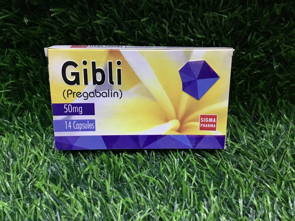Gibli-50