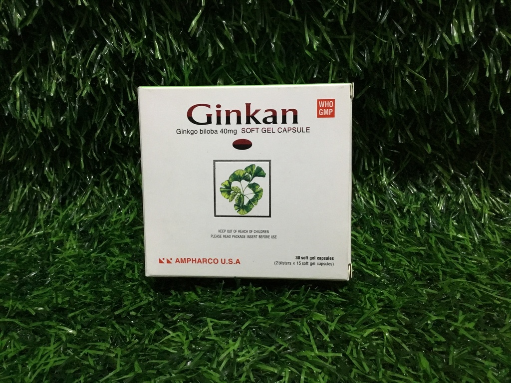 Ginkan (strip)