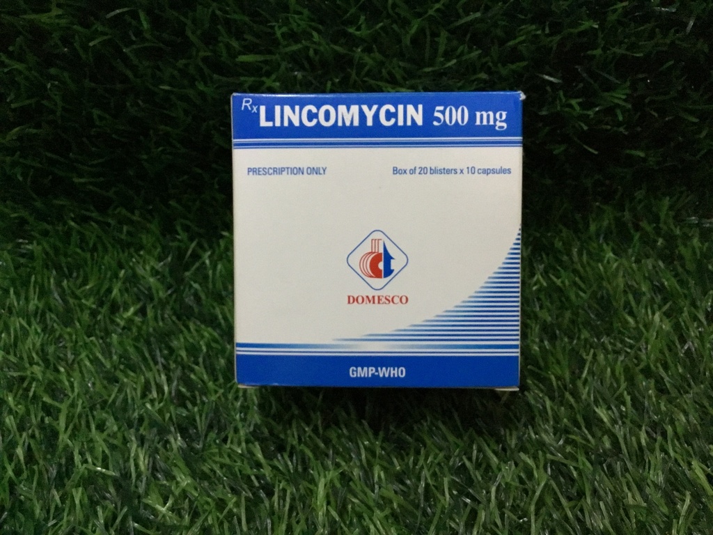 Lincomycin500mg 20st