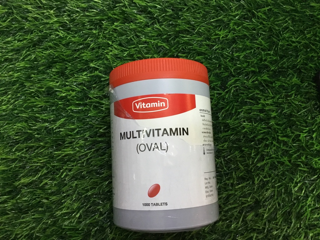 Multivitamin 1000