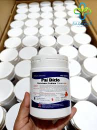 Pai-Diclo 1000s(box)