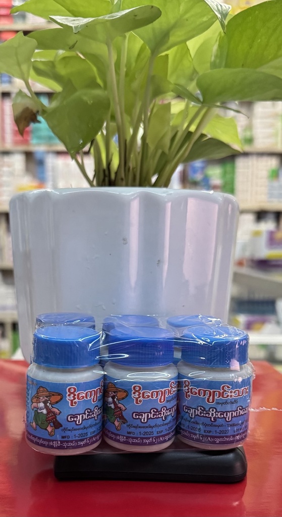 ဒို့ကျောင်းသား ချောင်းဆိုး