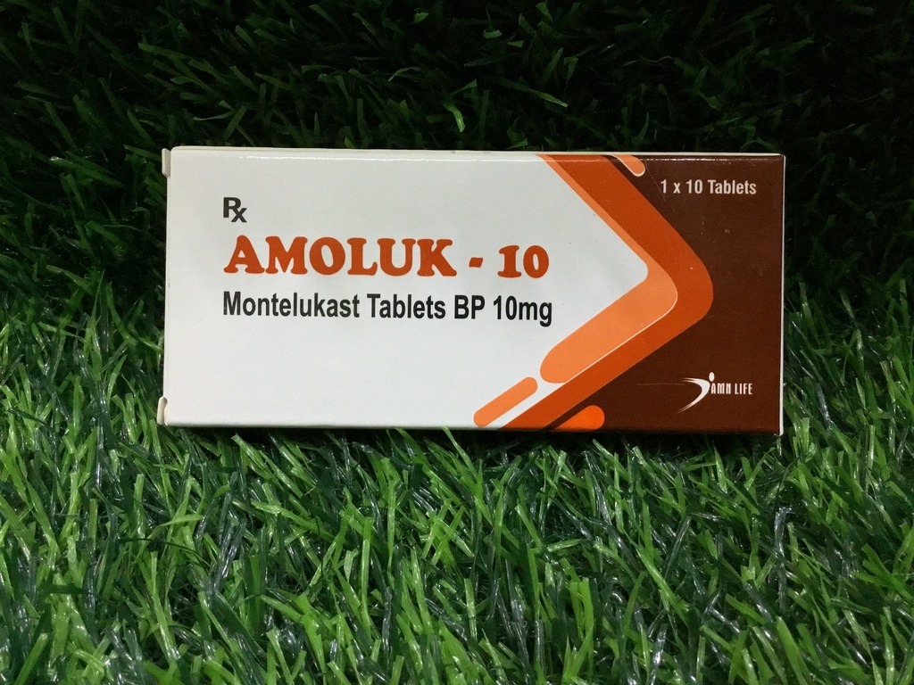 Amoluk 10