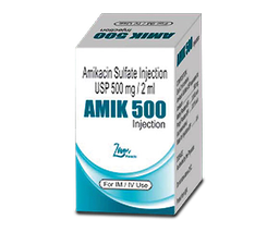 Amik 500 inj amp