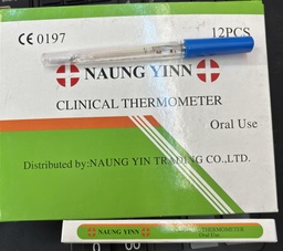 NY Thermometer Small